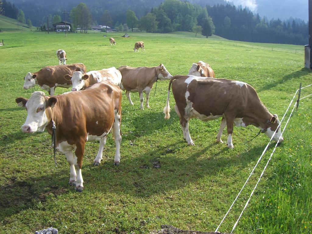 Willa Vorderstockerhof Sankt Johann in Tirol Zewnętrze zdjęcie